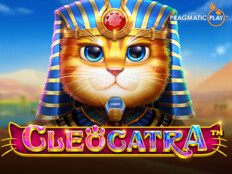 Bedava slot casino oyunları19